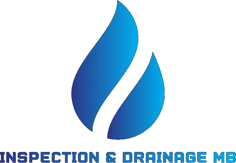 Mb logo 790x546 1.webp